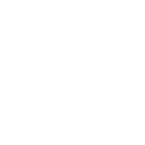 White tick icon